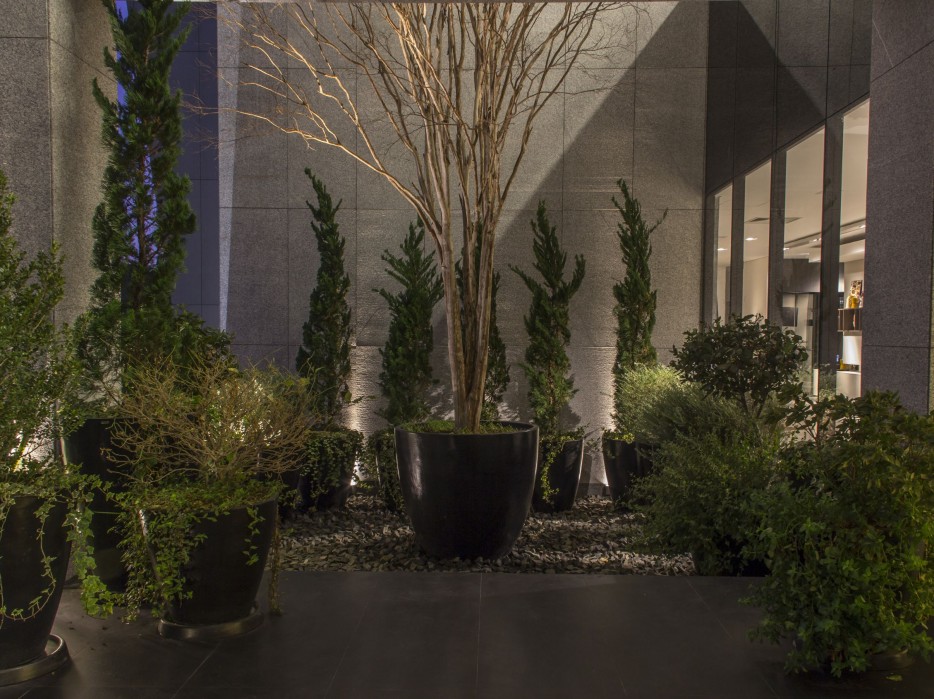 Paisagismo S.C.A ///